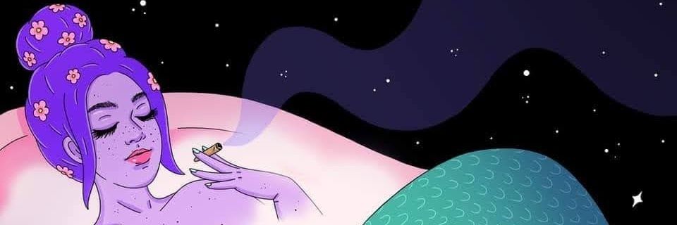 Micodistraido's profile banner image