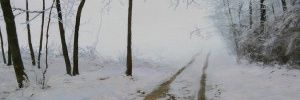 Silenci's banner