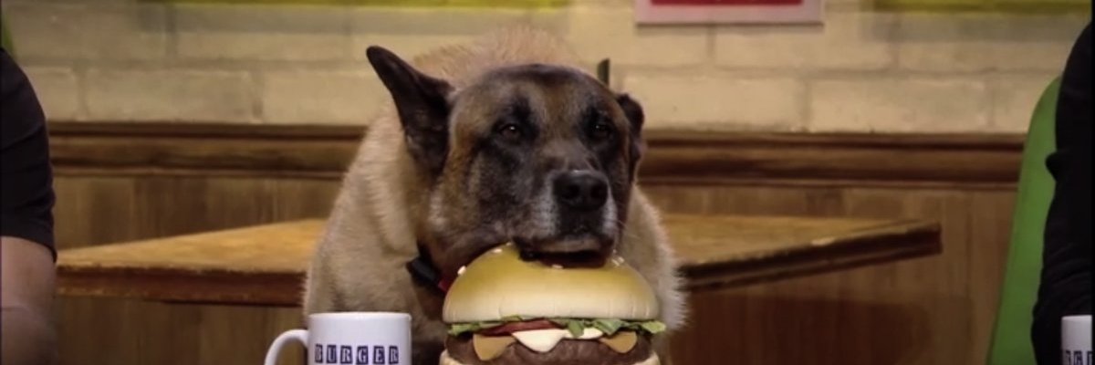 TheFreedomFries's profile banner image