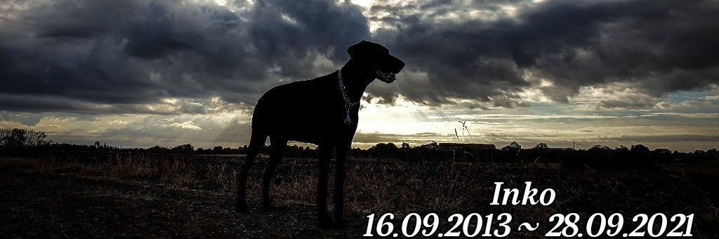 Ghis & Inko🖤🐾🌈 banner