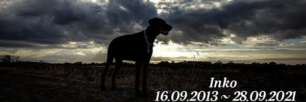 Qlimax54 Profile Banner