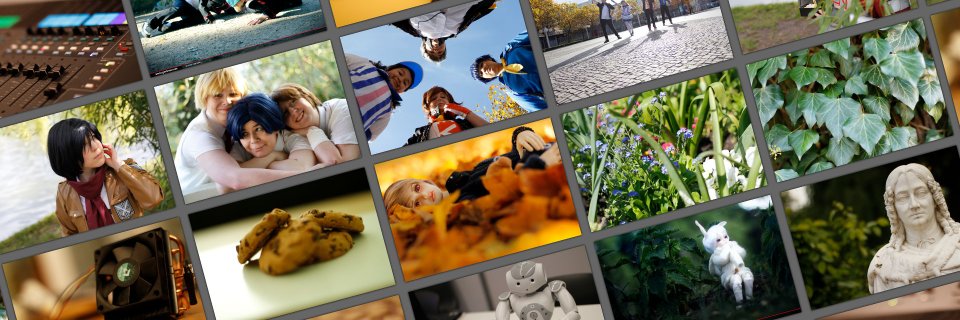 gertimon's profile banner image