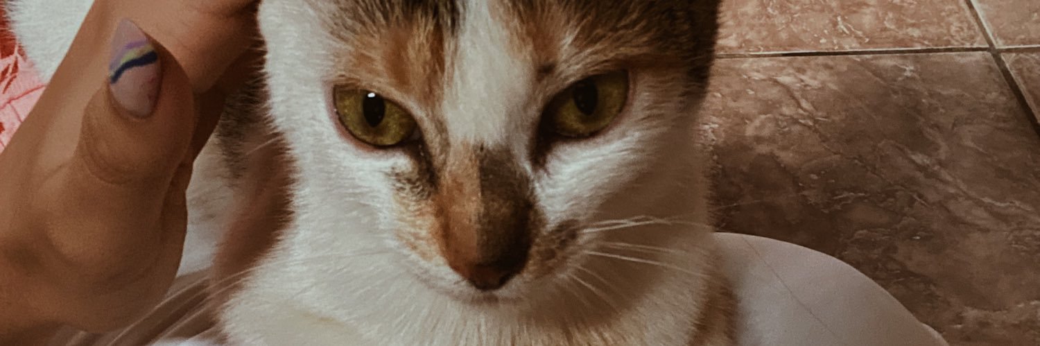 sofiasalinasr's profile banner image