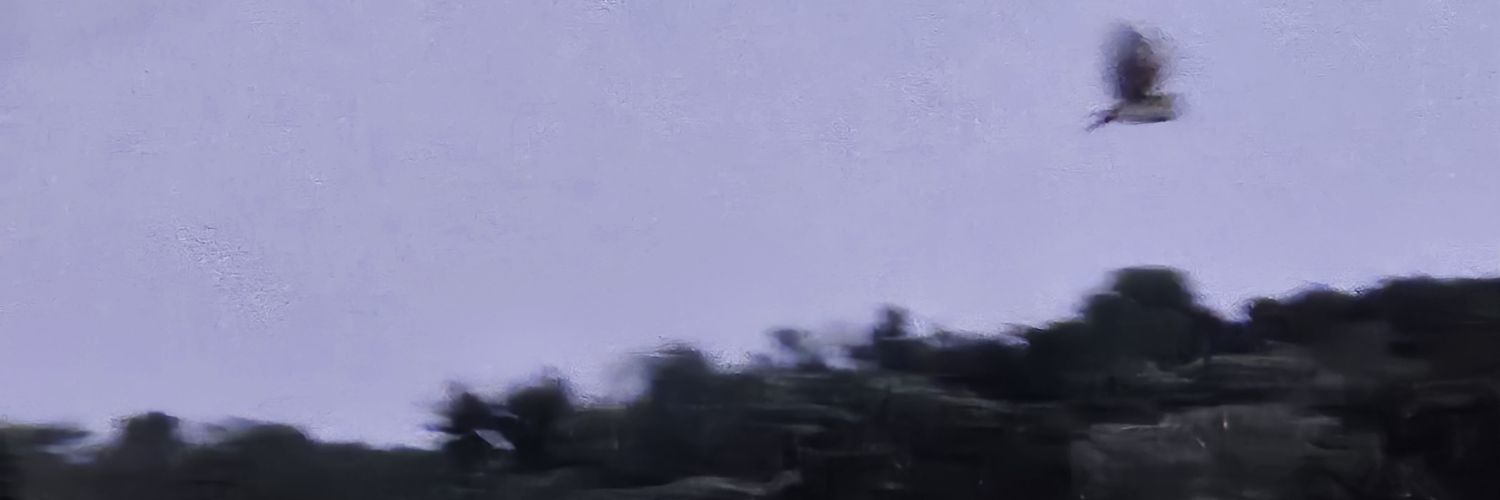 Do Not Associate (D.N.A) banner