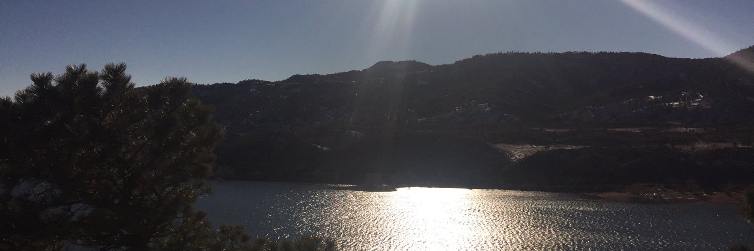 Sebastian Furness banner