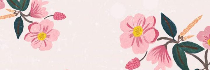 dindindf's profile banner image