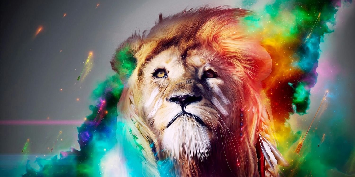 lisa_duhon's profile banner image
