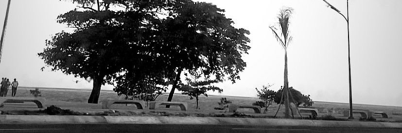 WiinnyPR's profile banner image