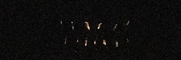 ih8zey Profile Banner