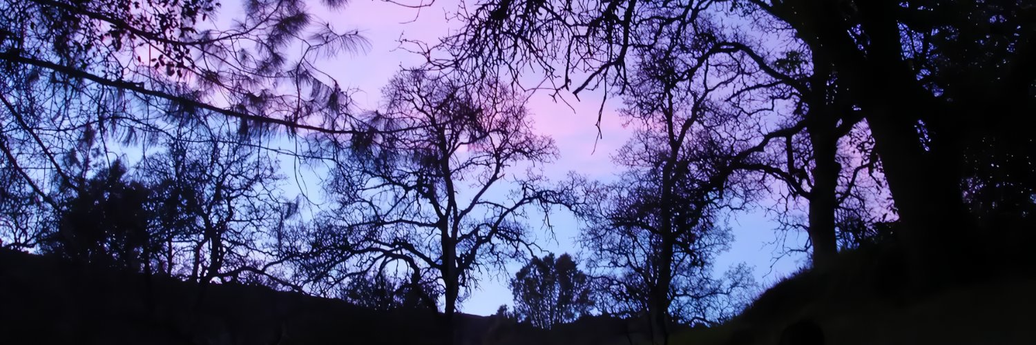 ℭ𝔯𝔞𝔶𝔬𝔫𝔰 🖤🕸️ (on 🦋☁️)'s banner