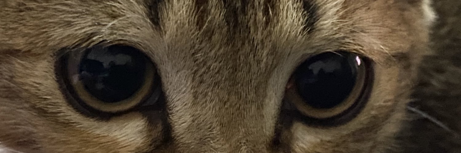 Moul_Lma's profile banner image