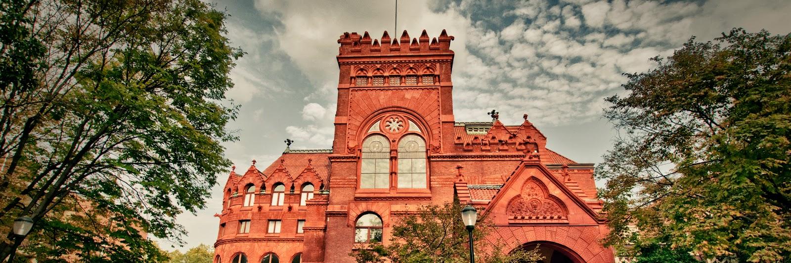 Marina Serper, MD, MS banner