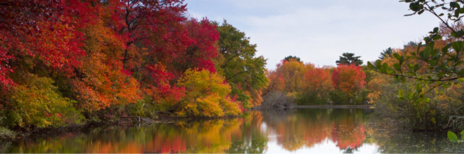 jennamazzetti's profile banner image