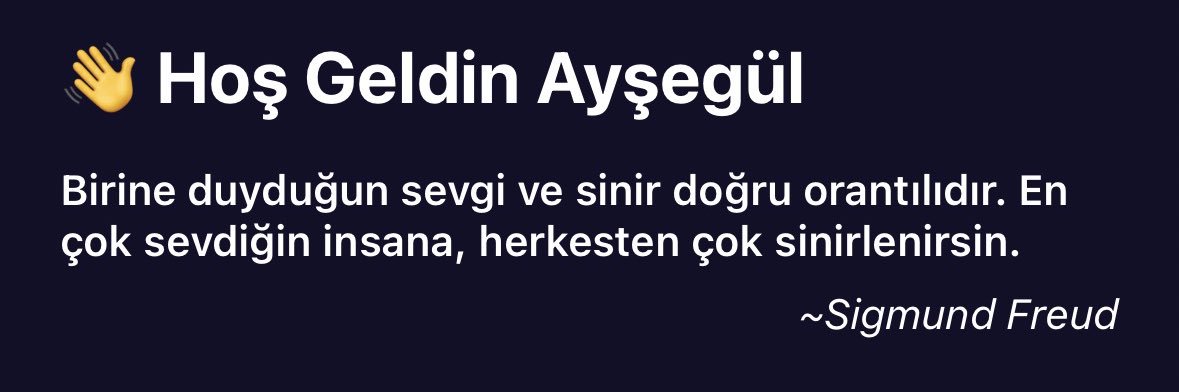 Ayşegül p. banner