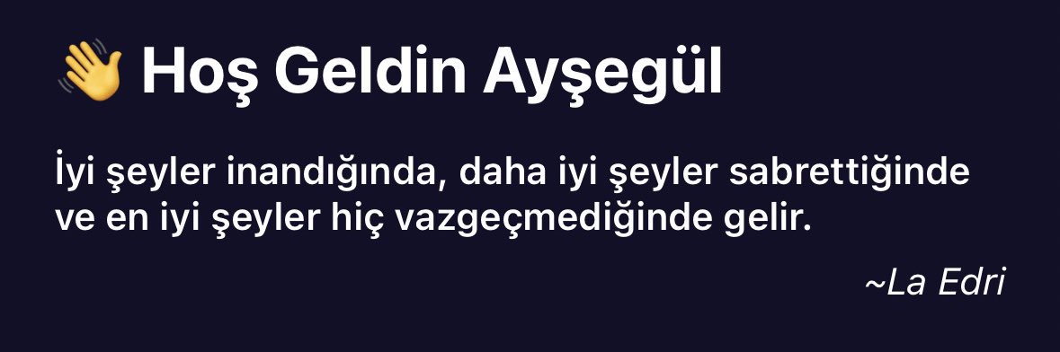 Ayşegül p. banner