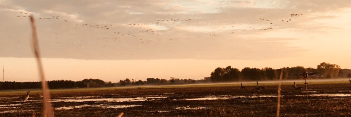 MGermundsen's profile banner image