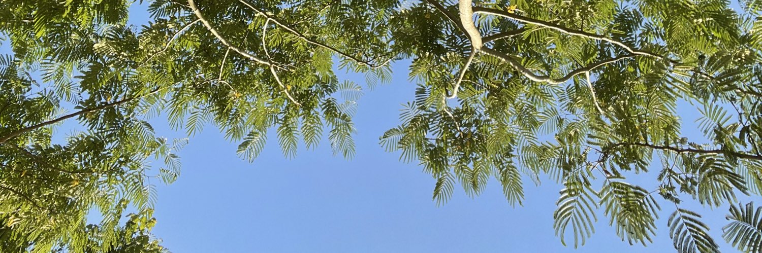 oopsitsmorgs's profile banner image