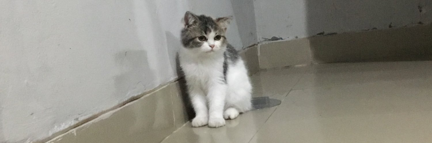 menghadehhh 🐾 banner