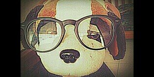 sellvah_'s profile banner image