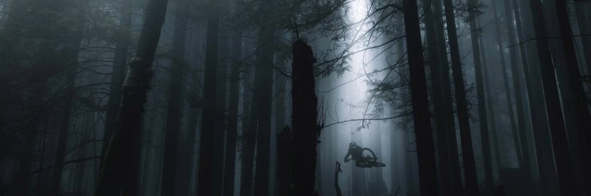 groovygraypes banner