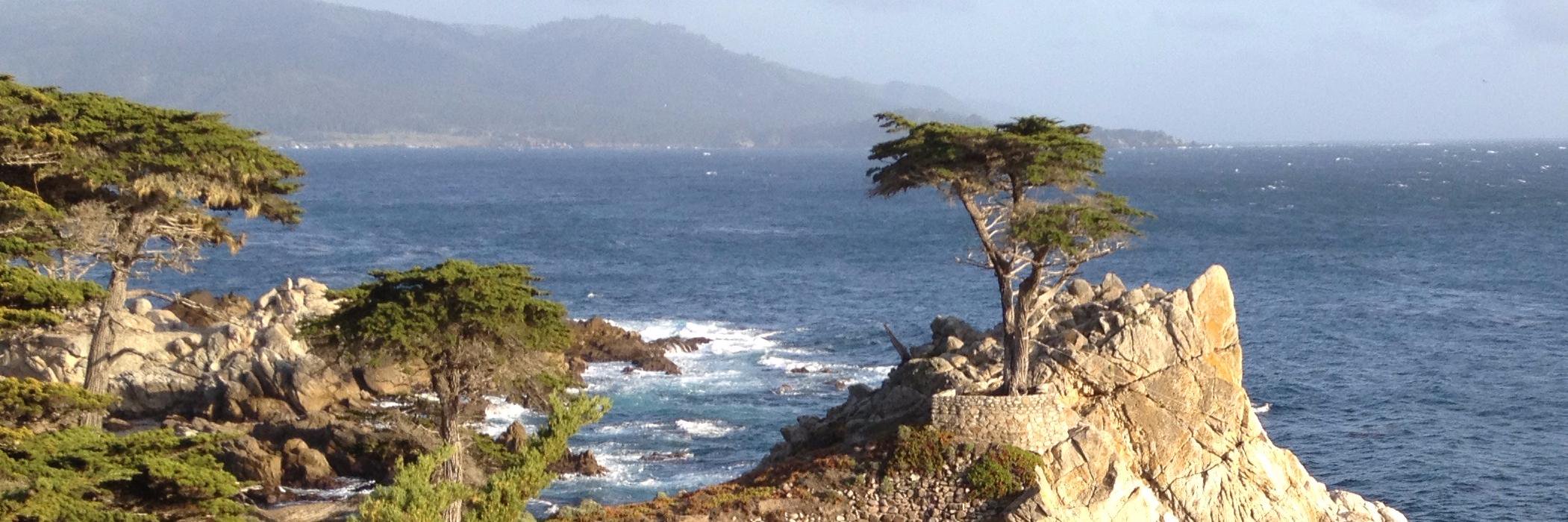 John C Ittelson banner