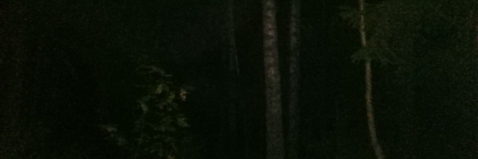 MorteSpiritu's profile banner image