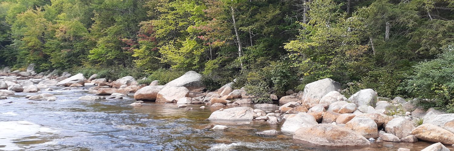 Gamer Dad & Geek! banner