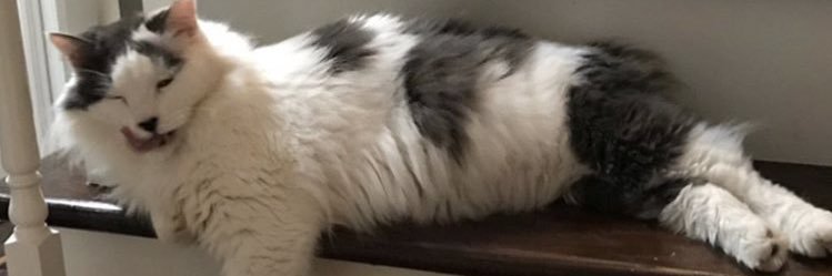 yum_yuckerr's profile banner image