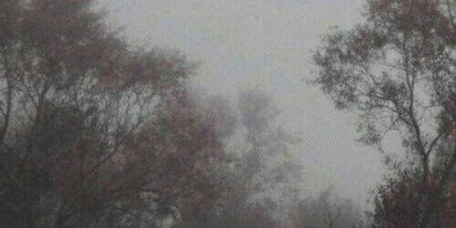 alykmrlzmn's profile banner image