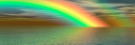Stephanie T banner
