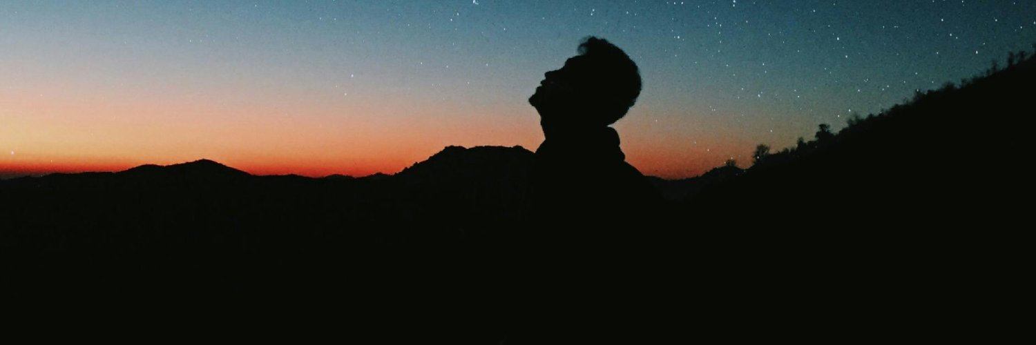 Maxime Scholtes banner