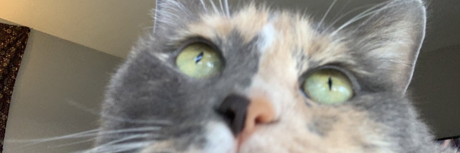 AssBack_Butters's profile banner image