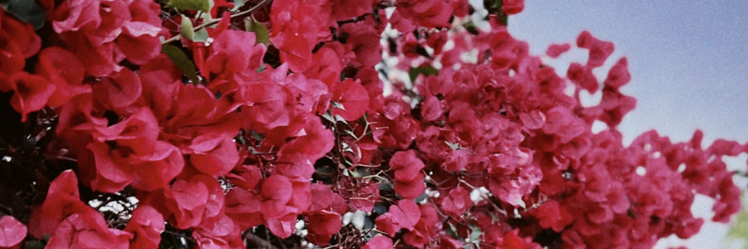 -'s banner