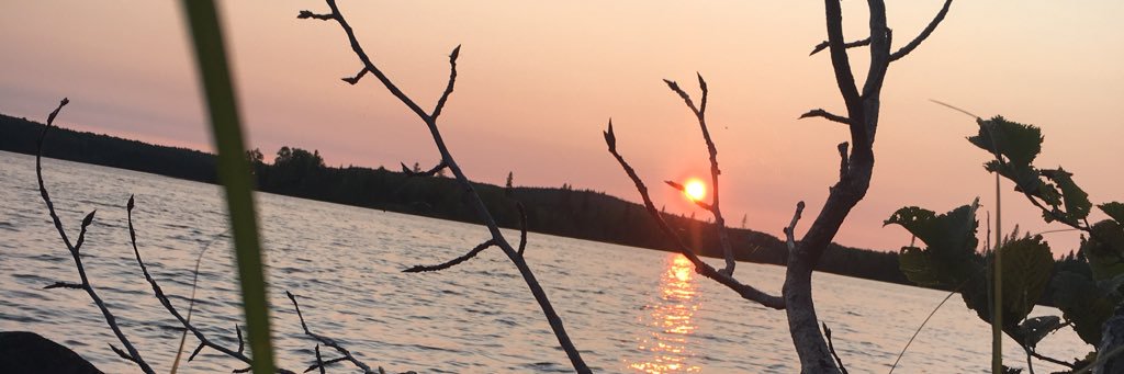jaridxbox's profile banner image
