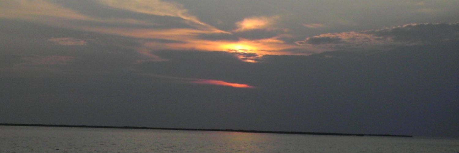 rocko5320's profile banner image