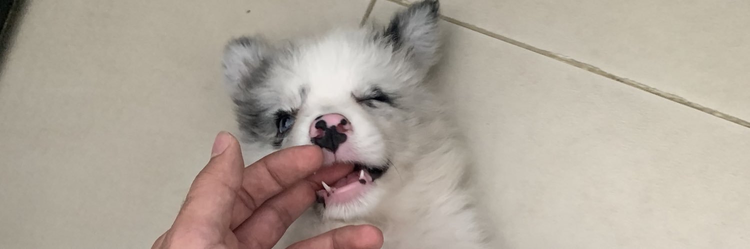 Samuel Gutierrez banner