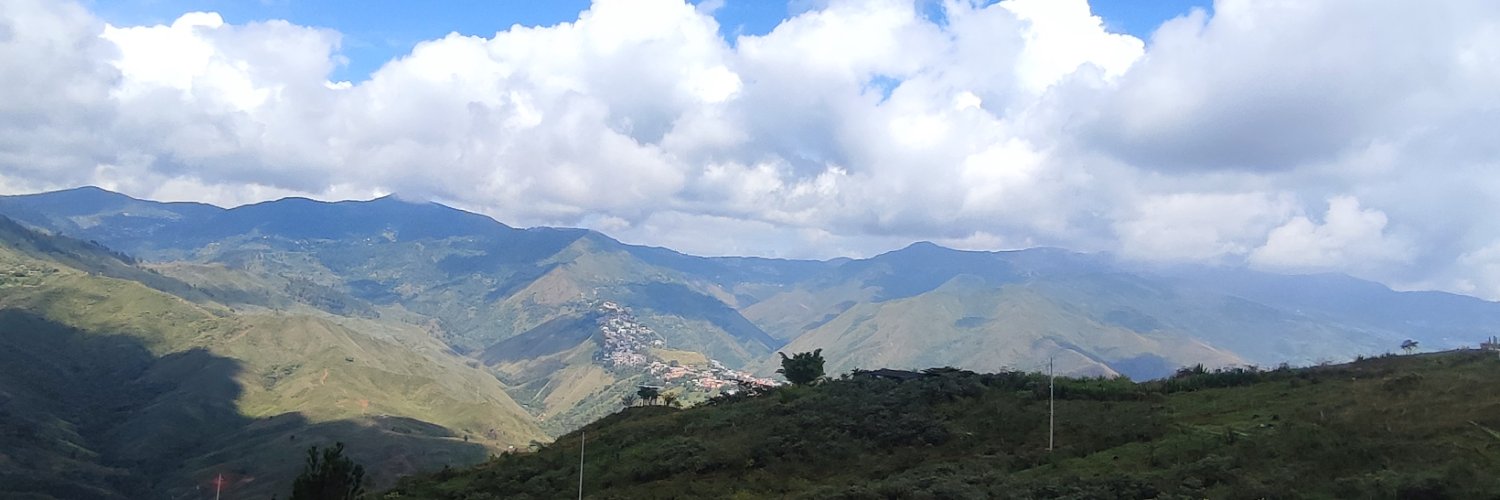 yelifoca's profile banner image