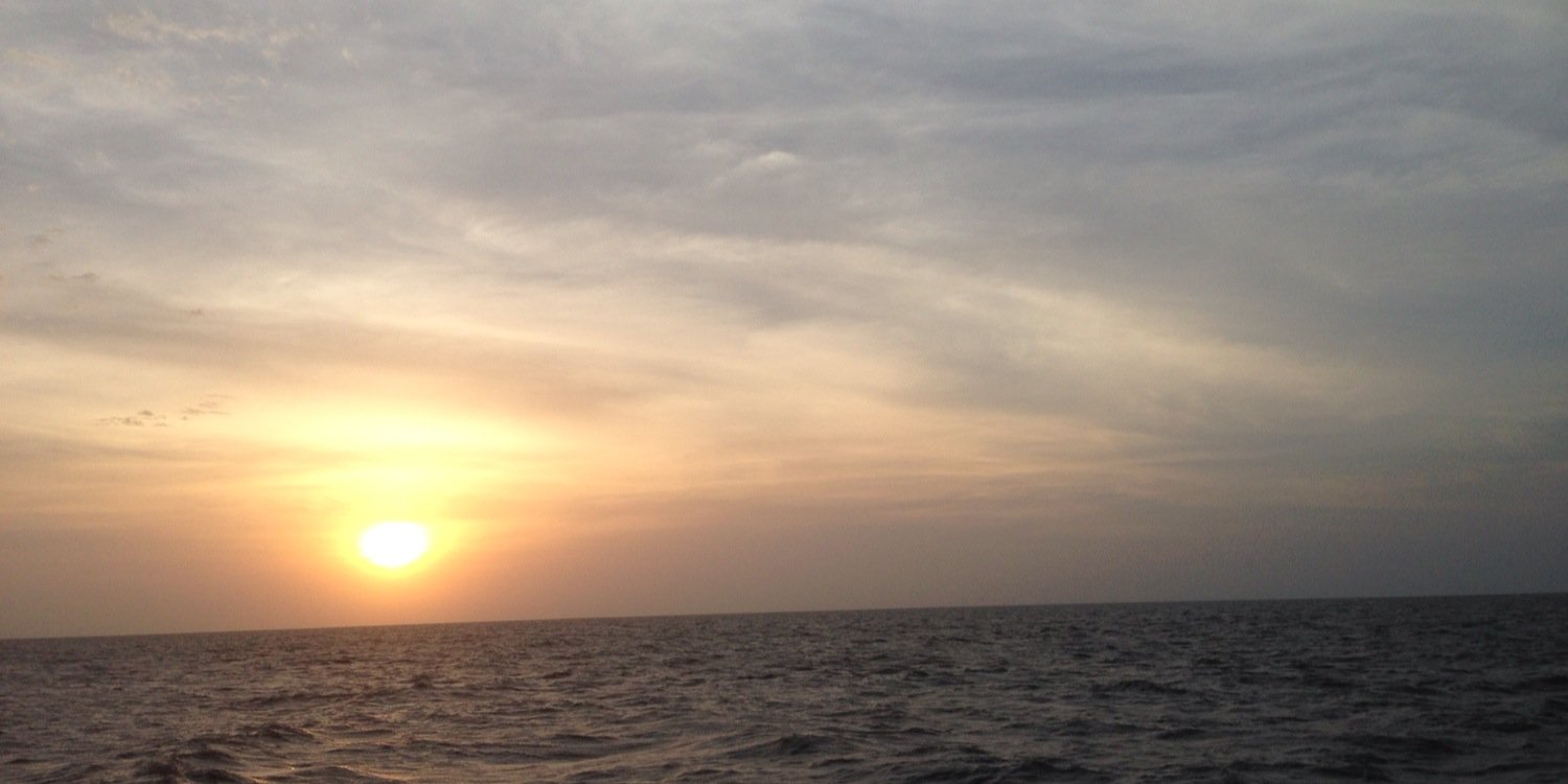 Rolama's profile banner image