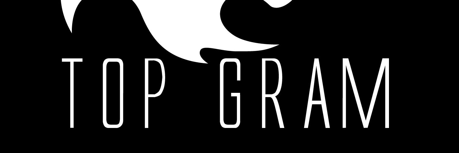 Top Gram banner