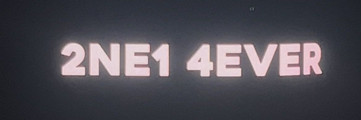 Cicada 0105 💛🧡 banner