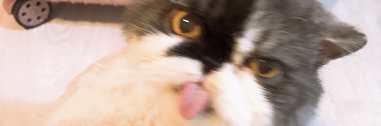 atomihungry's profile banner image