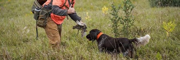 MegaScribbler Profile Banner