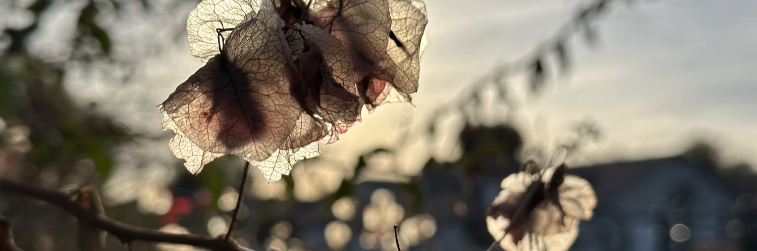 grace sharp banner