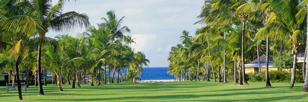 Nisbet_Nevis Profile Banner