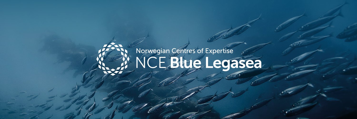 NCE Blue Legasea banner