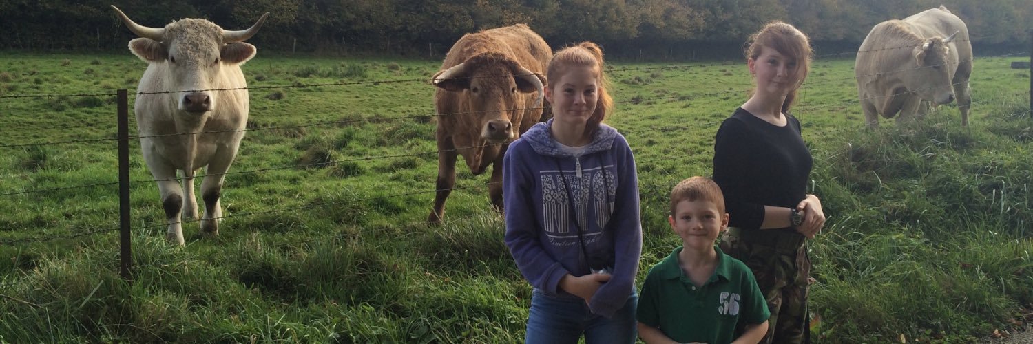 StephCameron5's profile banner image
