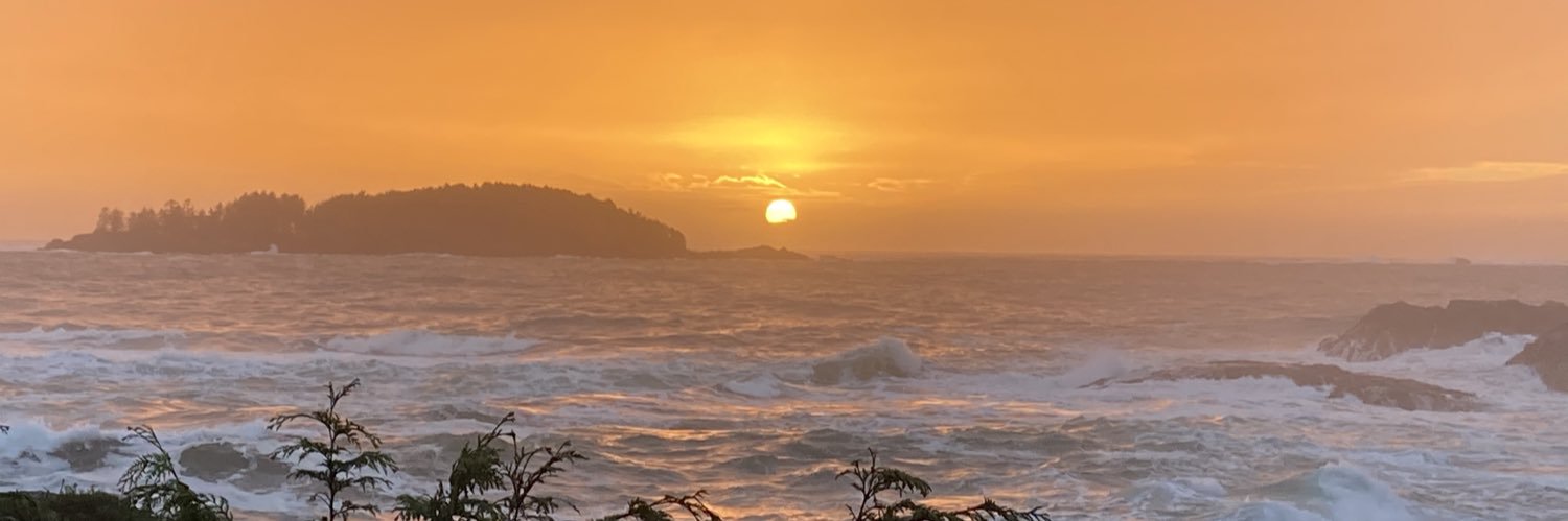 cameron dennison banner