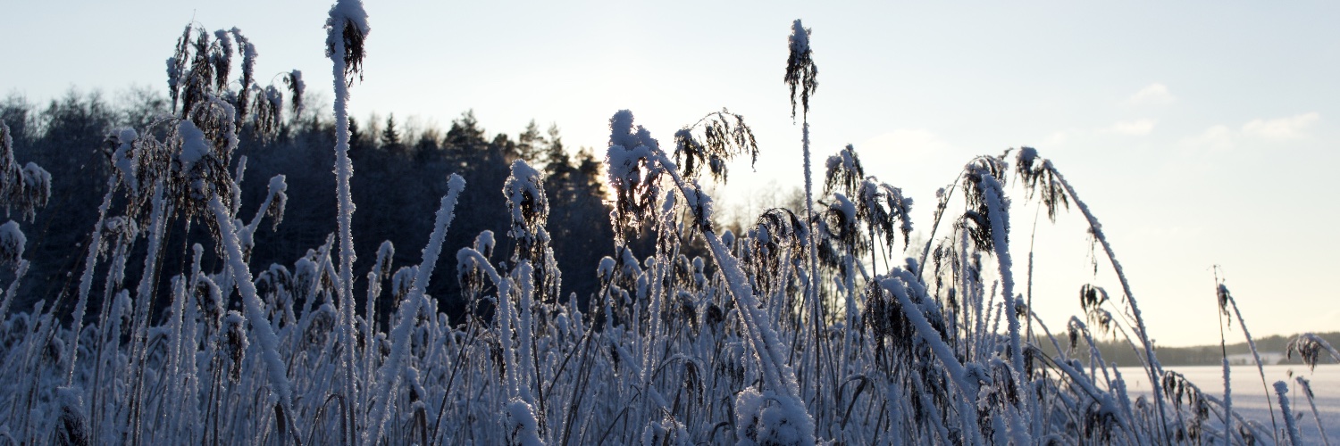 Lauri Alku 🇪🇺🇫🇮🗽🇺🇦 banner