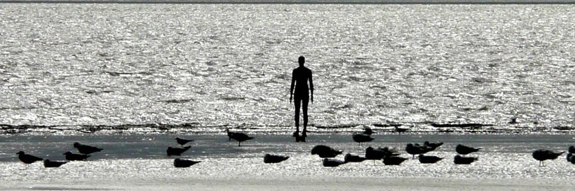 Peter J. Wells banner