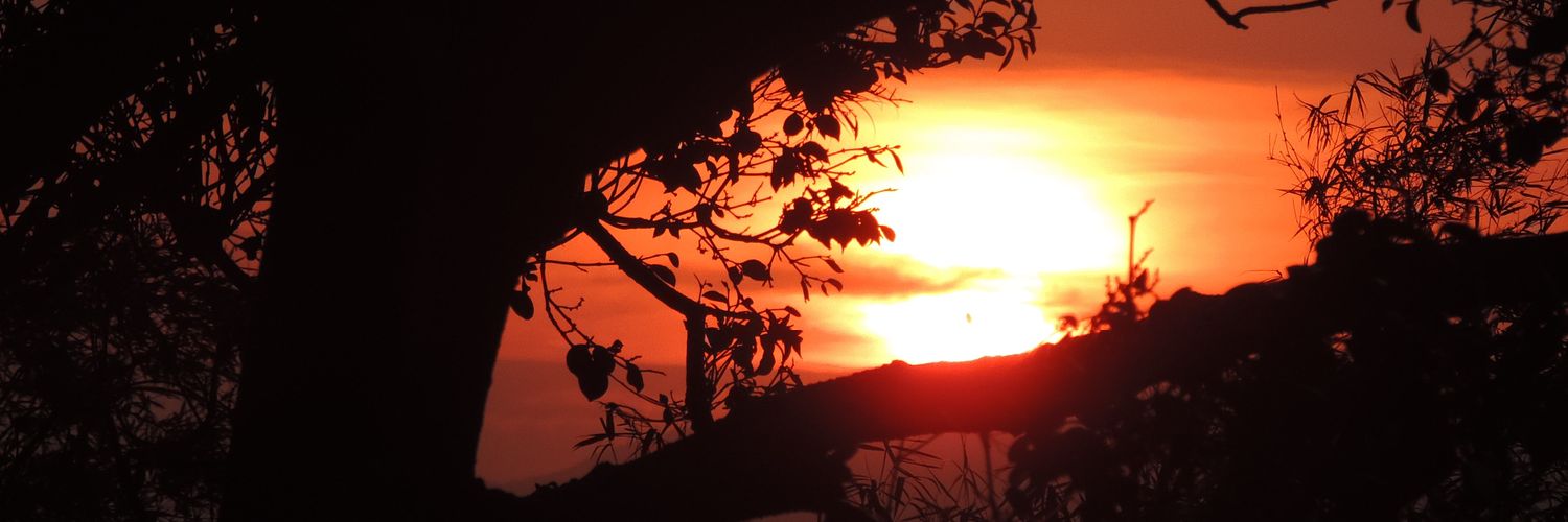 PatoQuacc's profile banner image